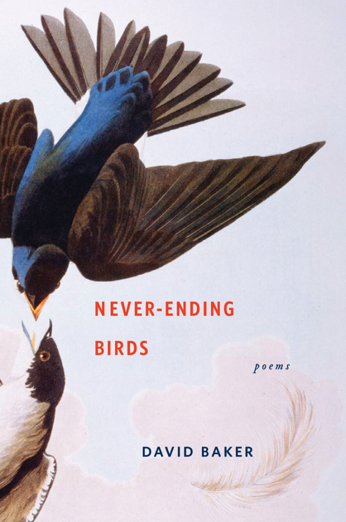 never-ending birds