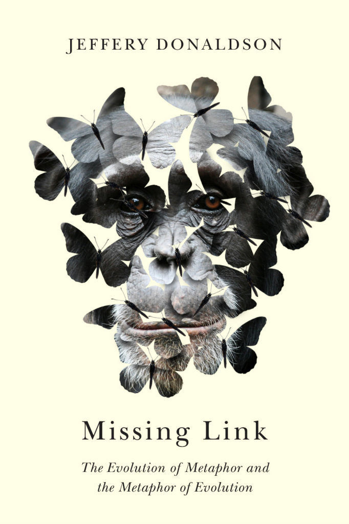 missing-link