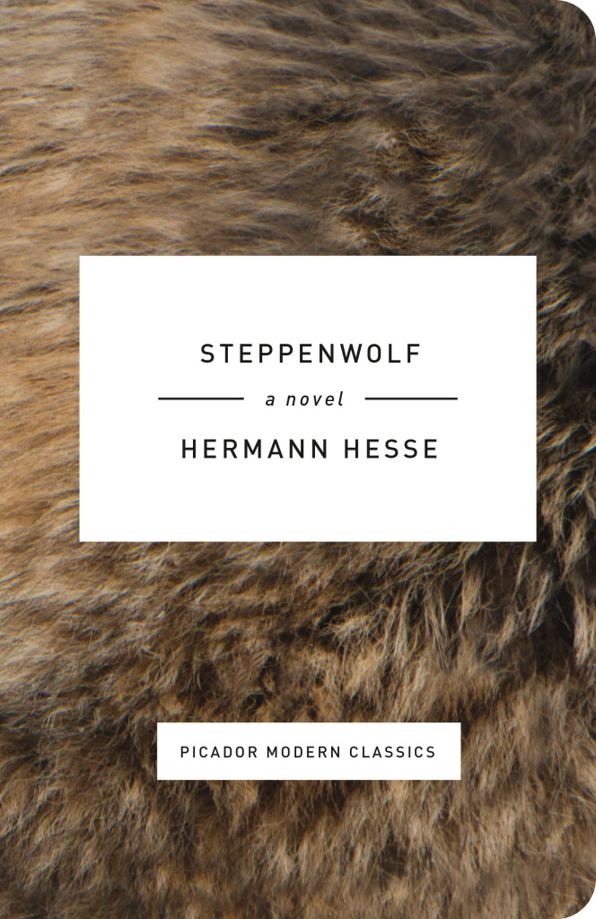 Steppenwolf_rounded