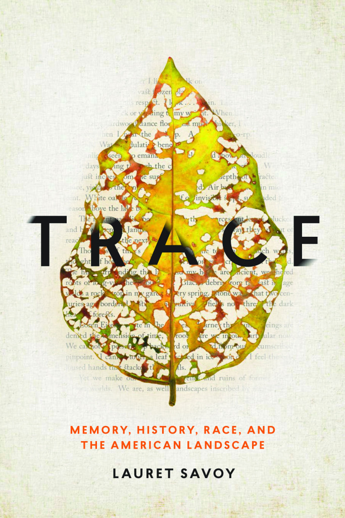 trace design by Debbie Berne